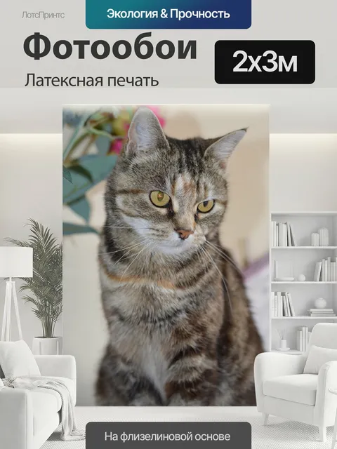 200 × 300 см · Латексная печать