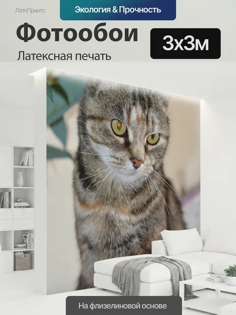 300 × 300 см · Латексная печать