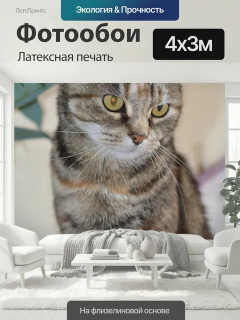 400 × 300 см · Латексная печать
