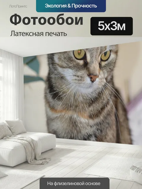 500 × 300 см · Латексная печать