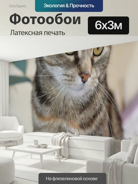 600 × 300 см · Латексная печать