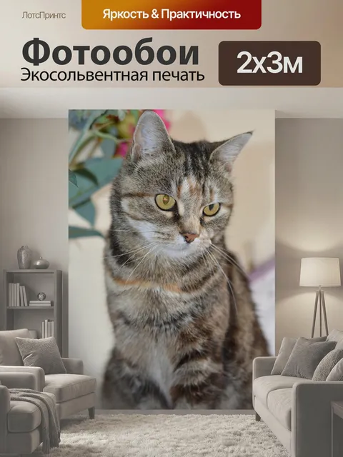 200 × 300 см · Экосольвентная печать