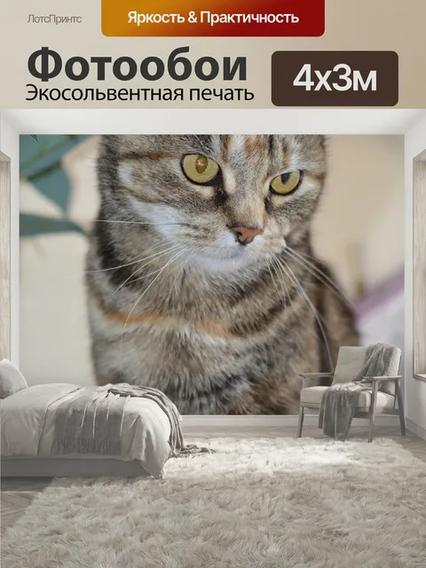 400 × 300 см · Экосольвентная печать