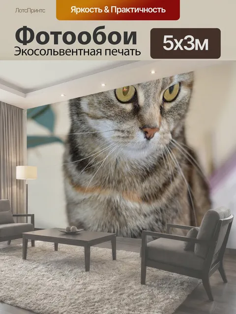 500 × 300 см · Экосольвентная печать