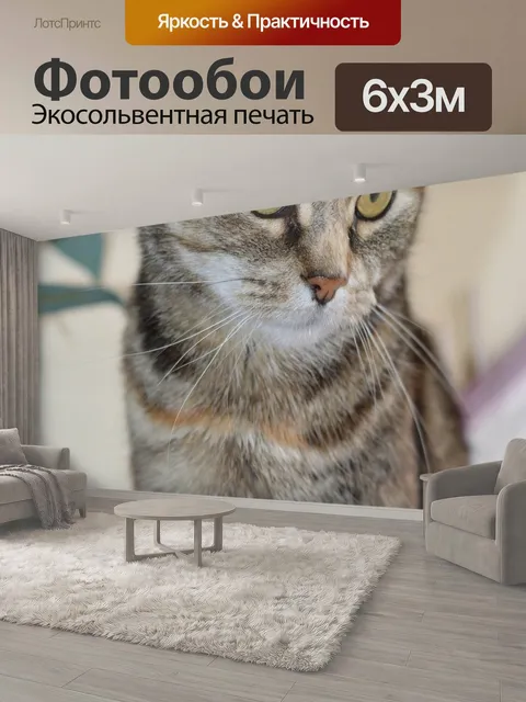 600 × 300 см · Экосольвентная печать