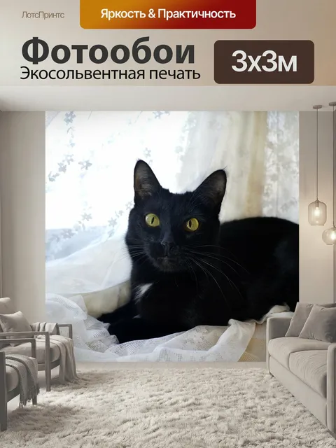 Фотообои Кошка, черная, домашнее животное