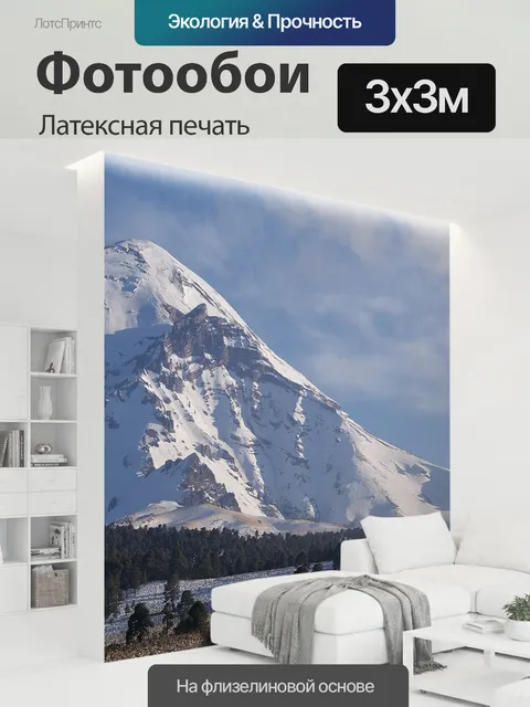 300 × 300 см · Латексная печать