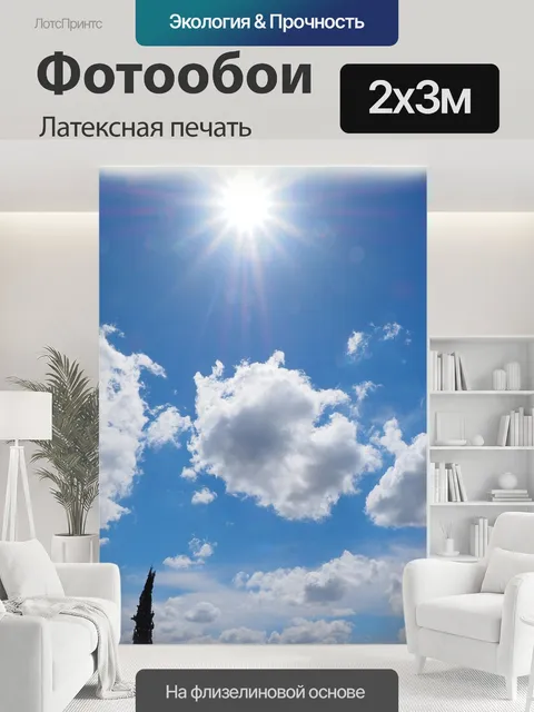 200 × 300 см · Латексная печать