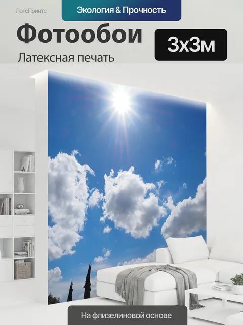 300 × 300 см · Латексная печать