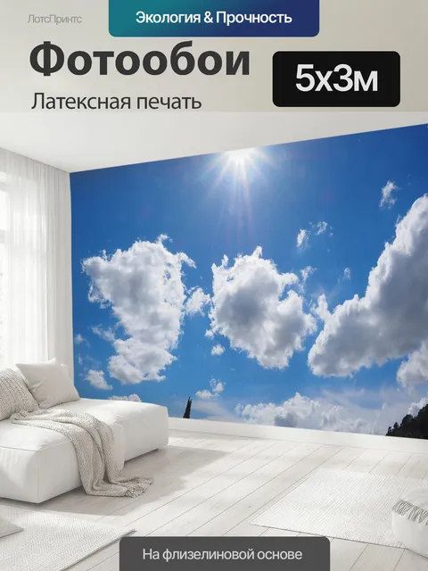 500 × 300 см · Латексная печать