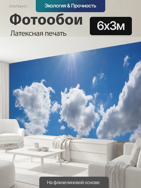 600 × 300 см · Латексная печать