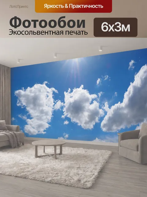 600 × 300 см · Экосольвентная печать