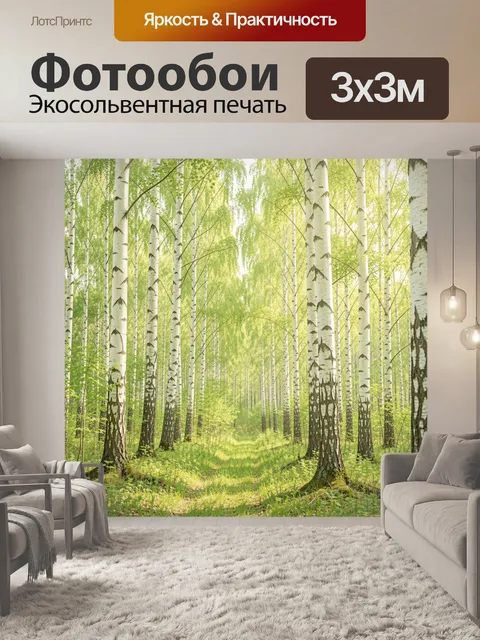 Фотообои Березовая роща в солнечный день. Светлый летний лес с высокими белоствольными деревьями, мягкой зеленью и узк…