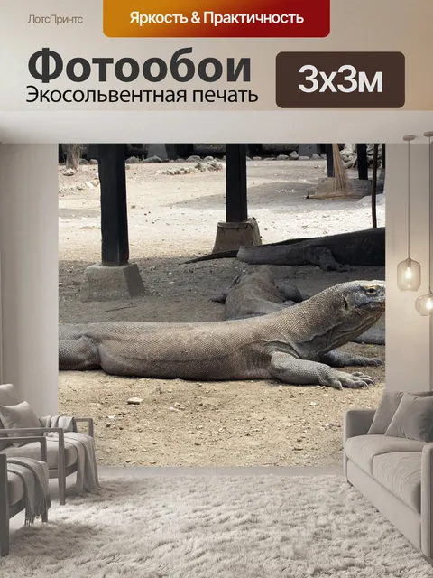 Фотообои Индонезия, комодо, дракон