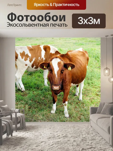Фотообои Коровы, молодые животные, сельское хозяйство