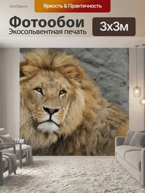 Фотообои Лев, львиная грива, большой кот