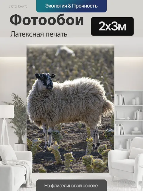 200 × 300 см · Латексная печать