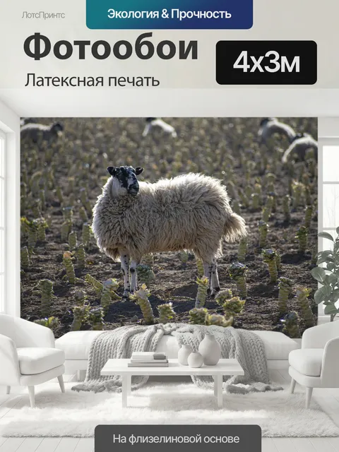 400 × 300 см · Латексная печать
