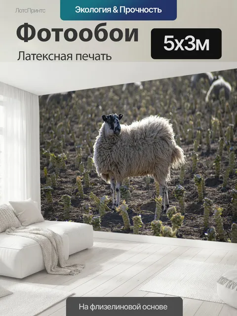 500 × 300 см · Латексная печать