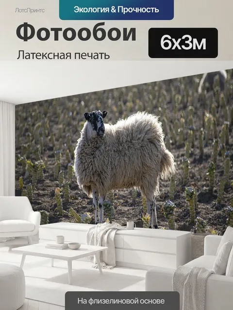 600 × 300 см · Латексная печать