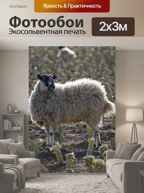 200 × 300 см · Экосольвентная печать