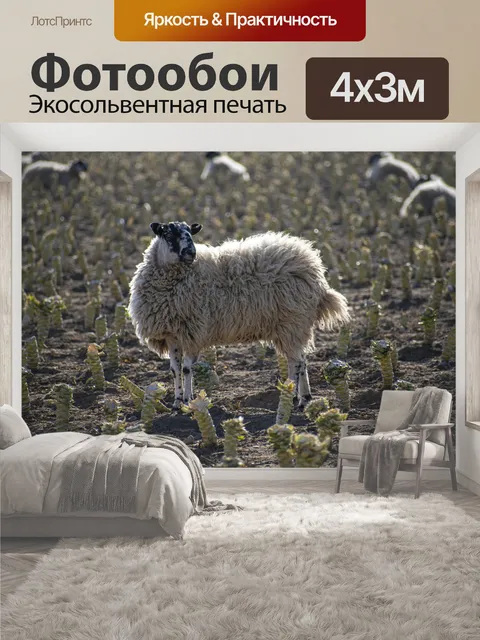 400 × 300 см · Экосольвентная печать
