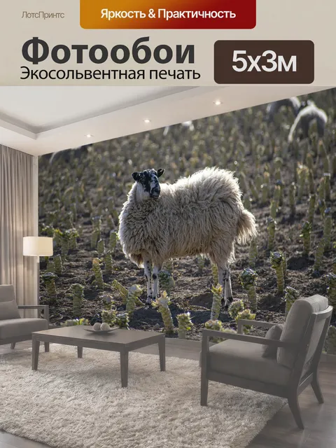 500 × 300 см · Экосольвентная печать