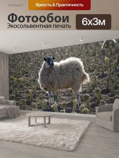 600 × 300 см · Экосольвентная печать