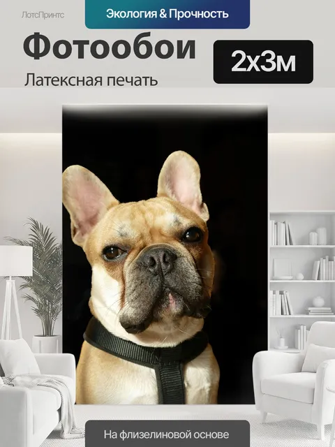 200 × 300 см · Латексная печать