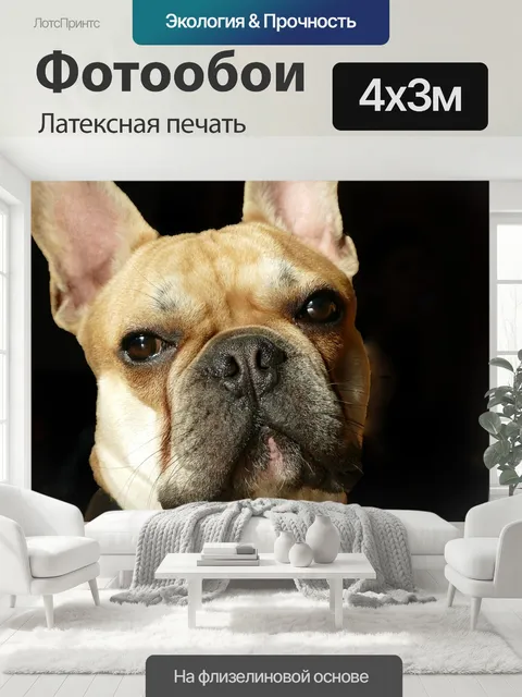 400 × 300 см · Латексная печать