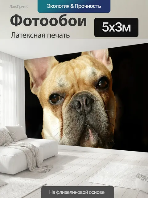 500 × 300 см · Латексная печать