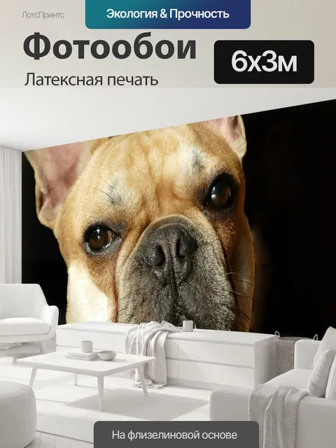 600 × 300 см · Латексная печать