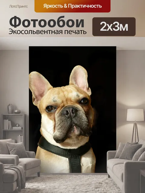 200 × 300 см · Экосольвентная печать