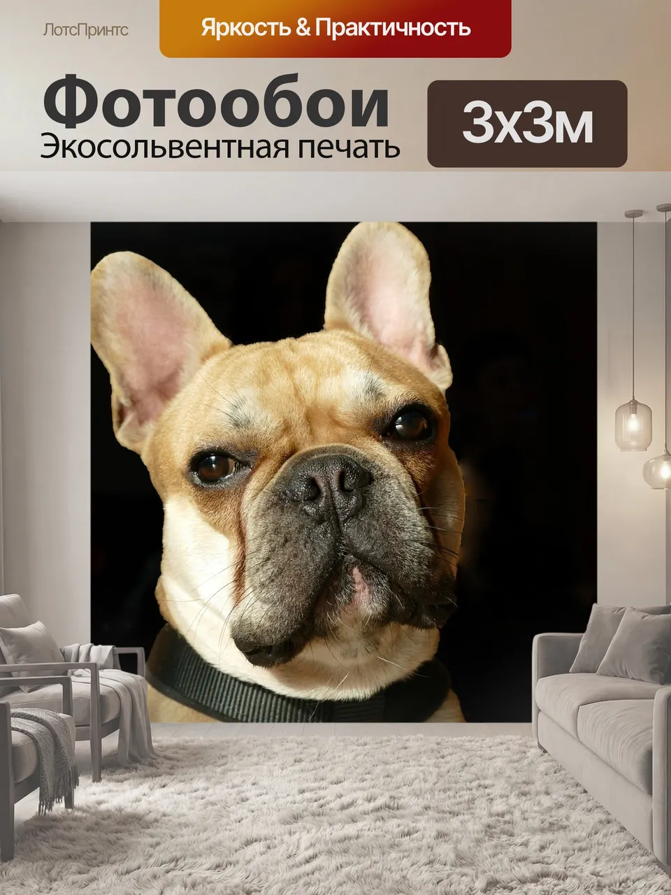 Фотообои Французский бульдог, бульдог, собака
