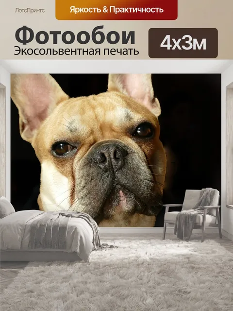 400 × 300 см · Экосольвентная печать
