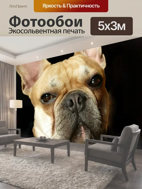 500 × 300 см · Экосольвентная печать