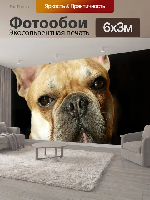 600 × 300 см · Экосольвентная печать