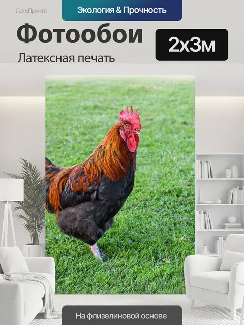 200 × 300 см · Латексная печать