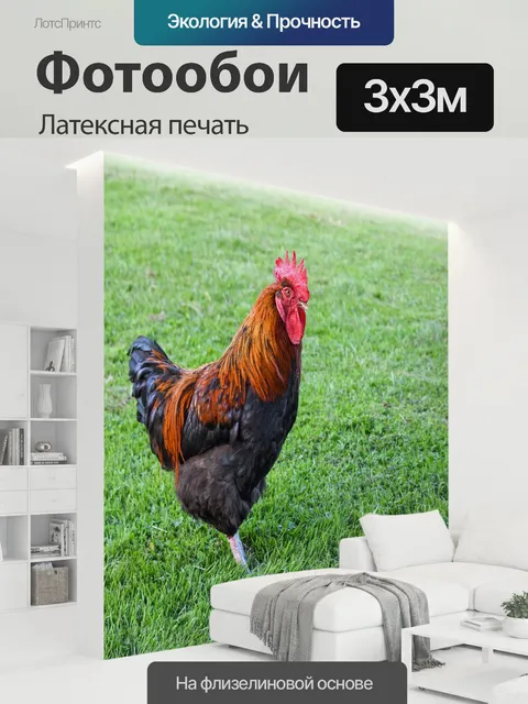 300 × 300 см · Латексная печать