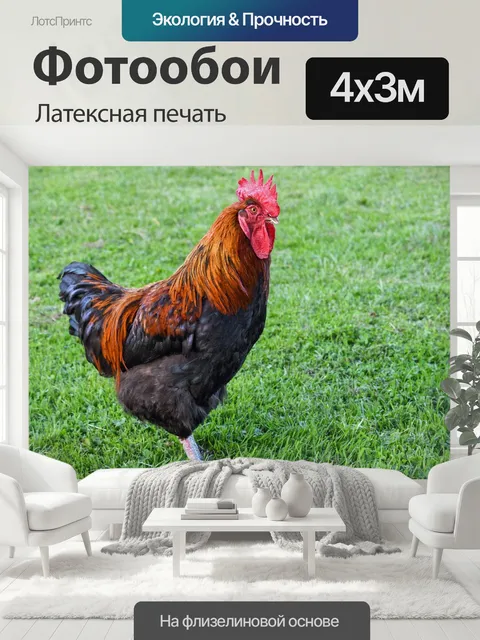 400 × 300 см · Латексная печать
