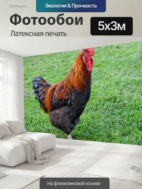 500 × 300 см · Латексная печать