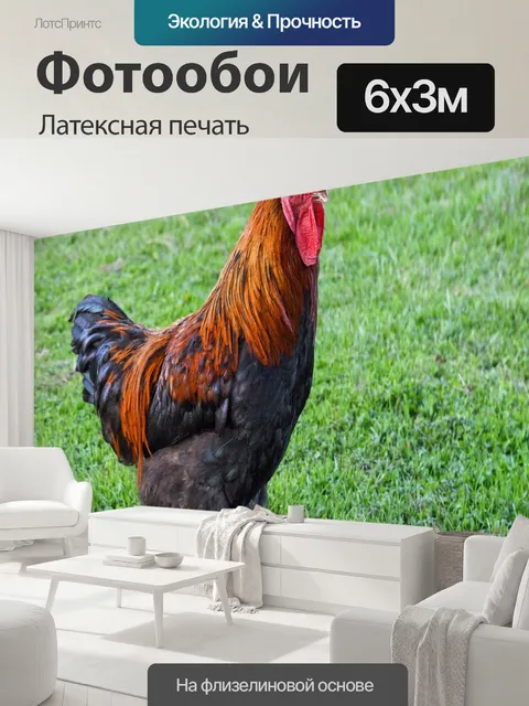 600 × 300 см · Латексная печать
