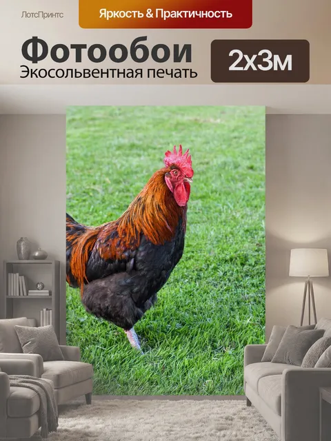 200 × 300 см · Экосольвентная печать