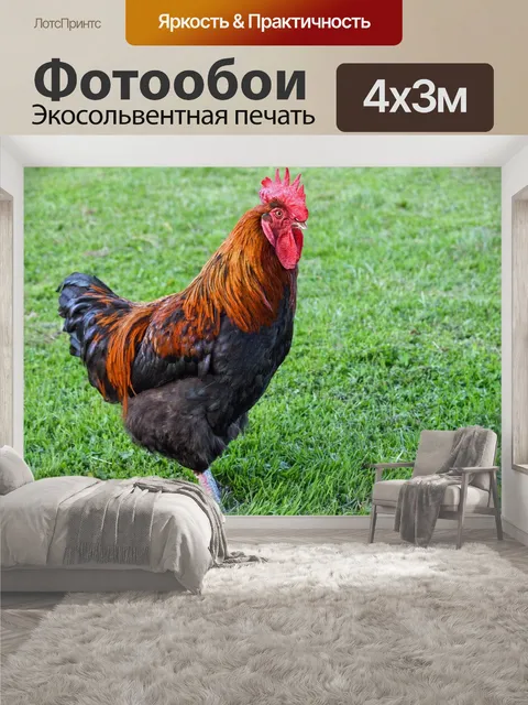 400 × 300 см · Экосольвентная печать