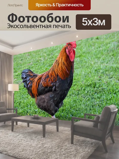 500 × 300 см · Экосольвентная печать
