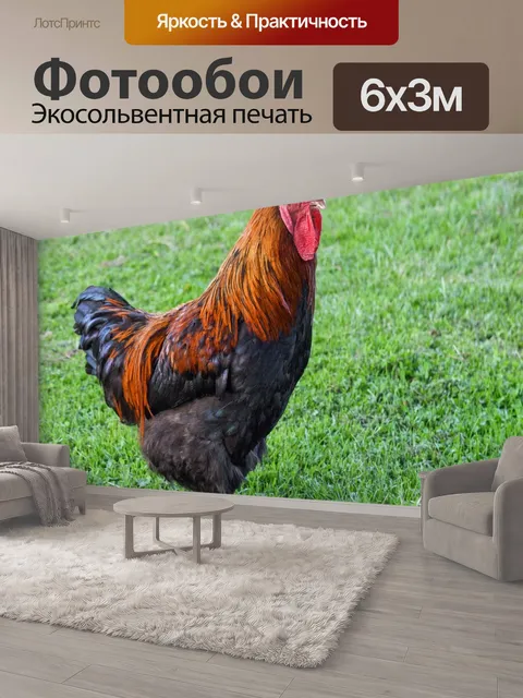 600 × 300 см · Экосольвентная печать