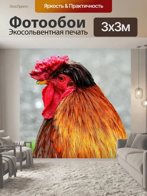 Фотообои Птица, домашняя птица, петушок