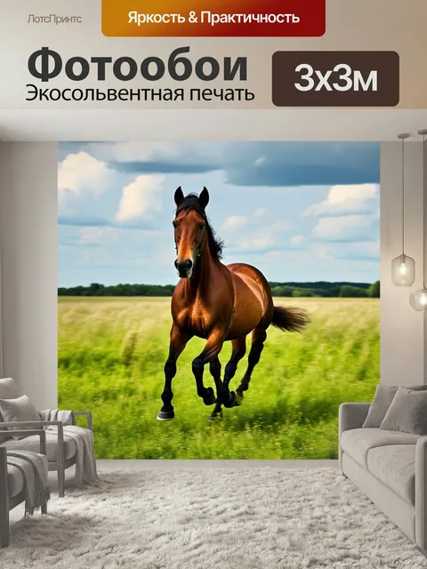 Фотообои Конь, свободно бегающий по широкому полю, уютные облака в небе
