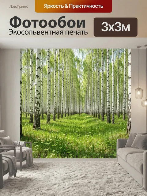 Фотообои Березовая роща с зеленой поляной. Светлый лесной пейзаж с высокими белоствольными деревьями, молодой травой и…