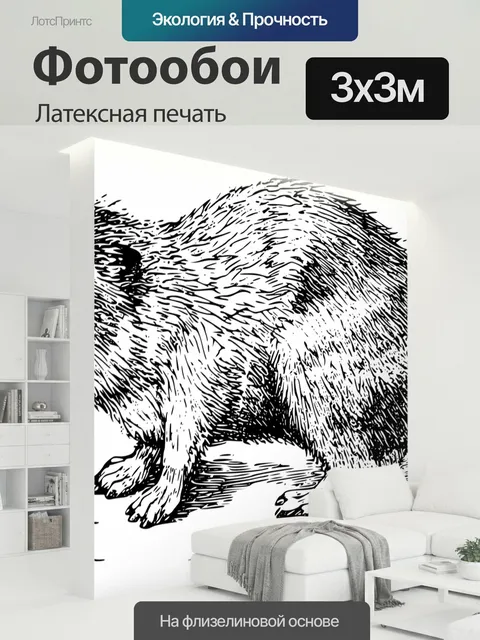 300 × 300 см · Латексная печать